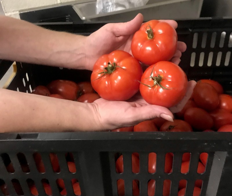 Fresh Tomatoes